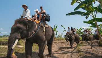 Elephant Ride Tour