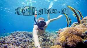 Lovina snorkeling