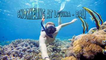 Lovina snorkeling