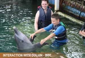 interaction-dolphin1