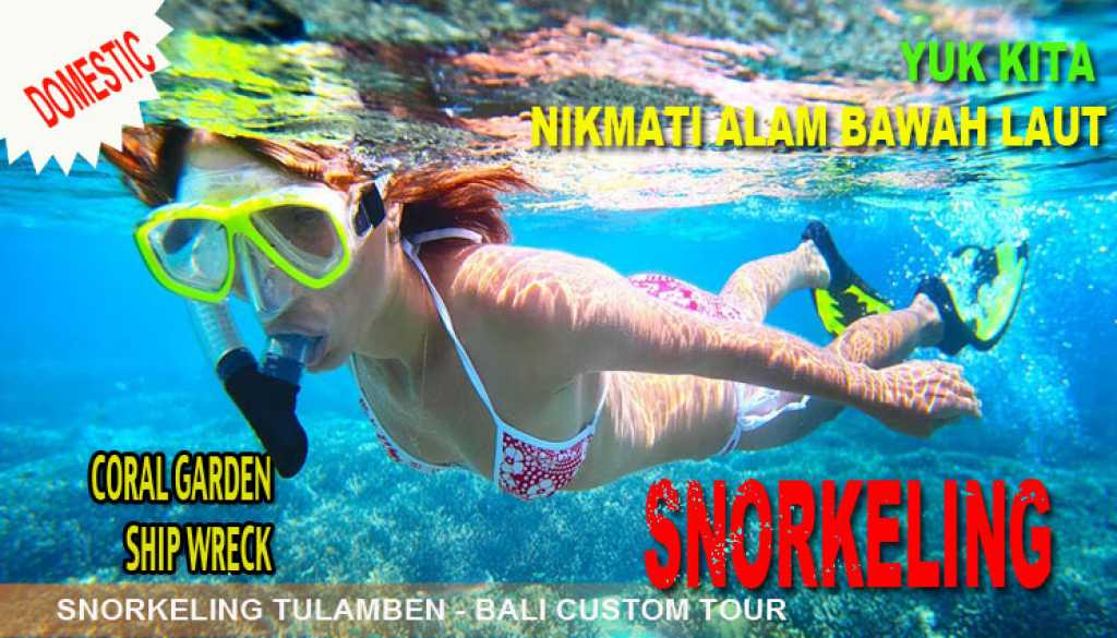 Snorkeling Tulamben Domestic