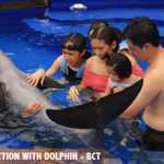 INTERACTION WITH DOLPHIN